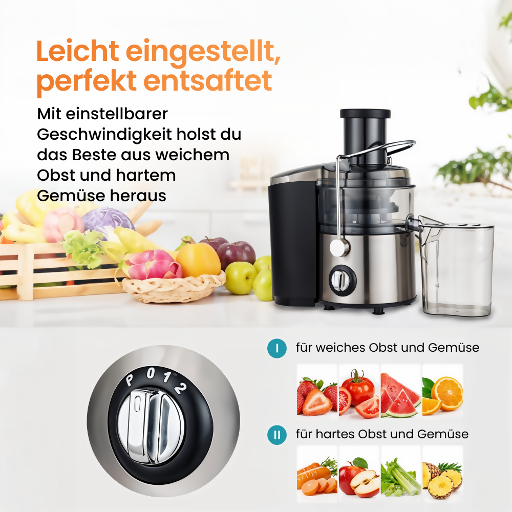 Entsafter aus Edelstahl mit großer Einfüllöffnung und 2 Geschwindigkeitsstufen