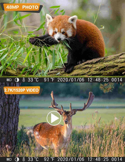 48 MP Wildkamera mit Nachtsicht (30 m) und 2,4 Zoll Farbbildschirm