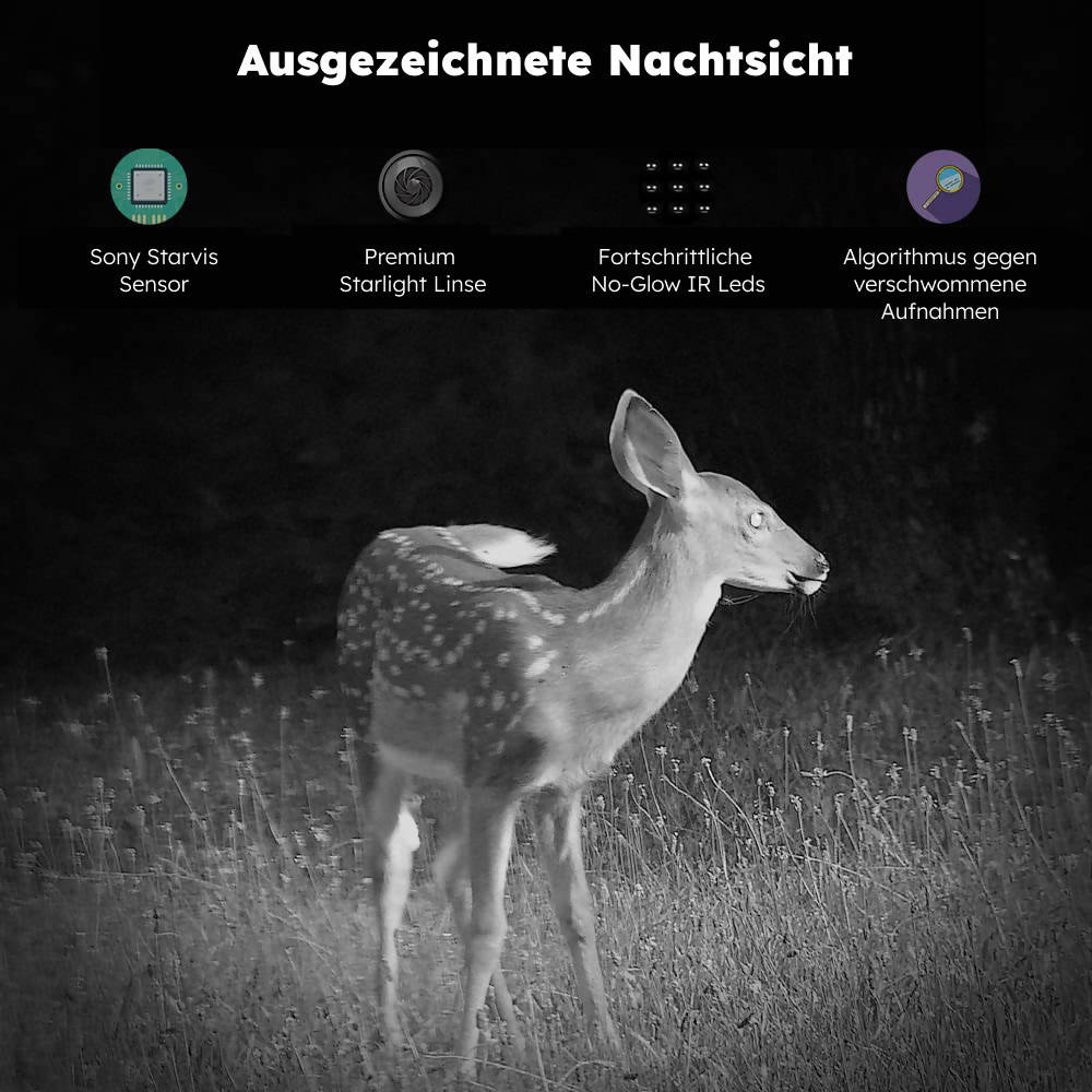 48 MP Wildkamera mit Nachtsicht (30 m) und 2,4 Zoll Farbbildschirm