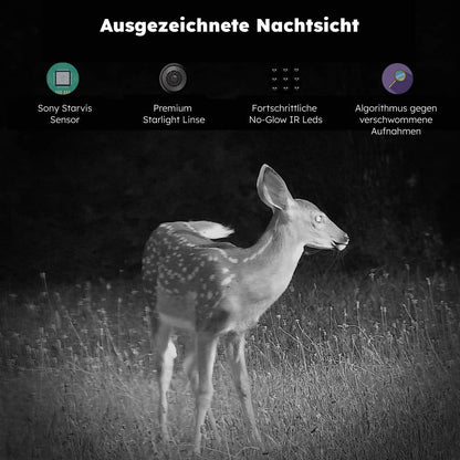 48 MP Wildkamera mit Nachtsicht (30 m) und 2,4 Zoll Farbbildschirm
