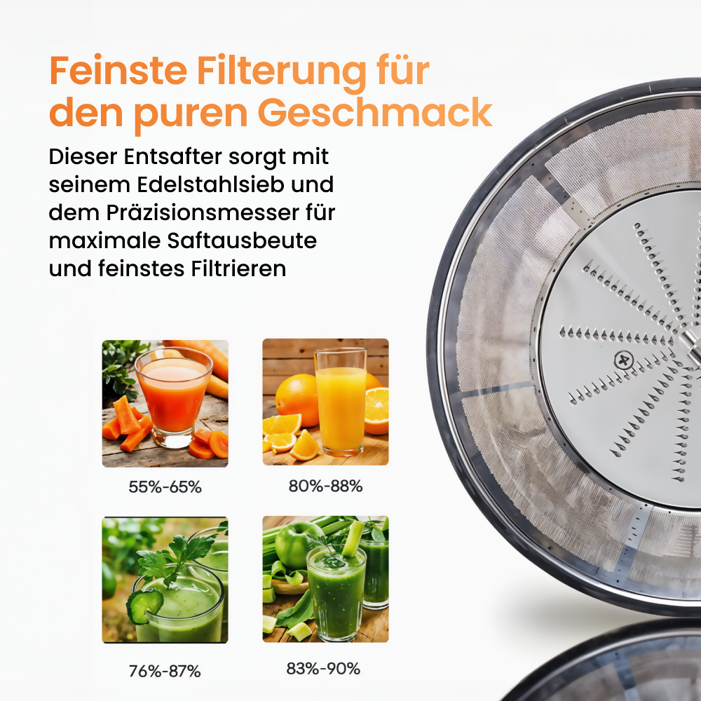 Entsafter aus Edelstahl mit großer Einfüllöffnung und 2 Geschwindigkeitsstufen