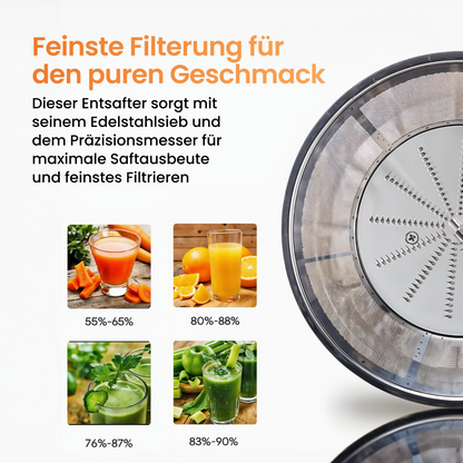 Entsafter aus Edelstahl mit großer Einfüllöffnung und 2 Geschwindigkeitsstufen
